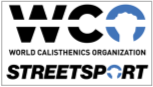 Calisthenics rig